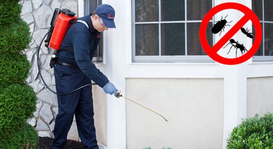 Tavşanlı Tahtakurusu İlaçlama böcek ilaçlama ve haşere kontrolü — ilaclama-tr.com